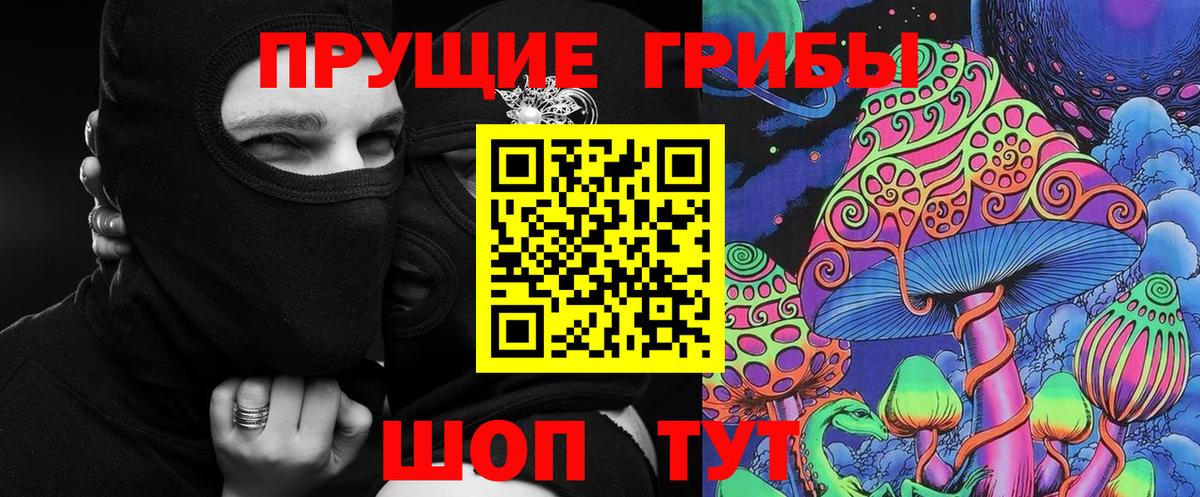 Галлюциногенные грибы GOLDEN TEACHER  Вход с VPN  Орск 