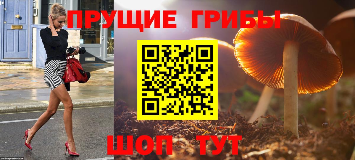 Псилоцибиновые грибы Psilocybine cubensis Орск