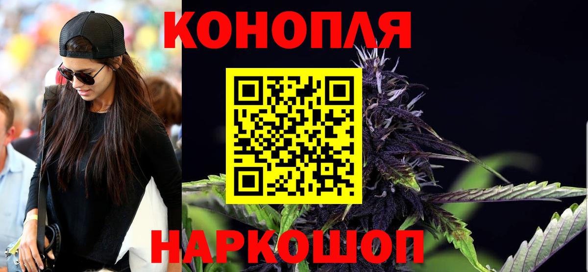 Конопля сатива Орск